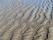 Ripples in sand