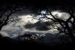 Lake District Night Sky