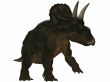 Diceratops-3D Dinosaur