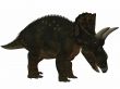 Diceratops-3D Dinosaur