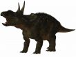 Diceratops-3D Dinosaur
