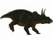 Diceratops-3D Dinosaur