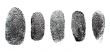 Fingerprint Set