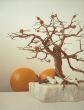 Copper tree and oranges