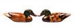 isolated two ducks face to face