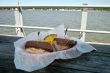 Sandwich On The Dock