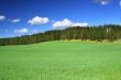 summer country view #2