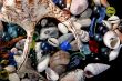 sea-shells
