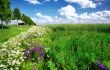 Beautiful space with feral flowers