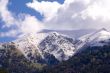 Caucasus