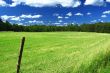 picturesque country road and field #3