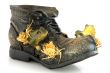 old shoe