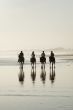 horse riding