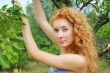 In trees