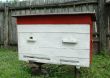 beehive