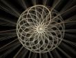 Tracery shape