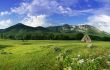 rural landscape with old house on the field