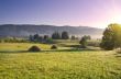 early morning rural landscape