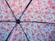 Behind a Wet Umbrella