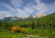 Mountain Splender