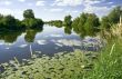 Calm place River