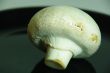 mushroom white