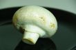 macro shot mushroom on black plate