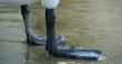 swan feet