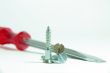 red screwdriver screw