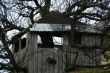 tree house