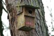 bird home