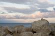 Rocks