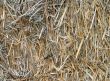 Close up of straw bales