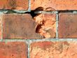 Weathered bricks