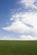 meadow and clouds