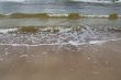 Coast