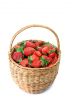  strawberries in a basket 2