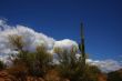 Desert Spring
