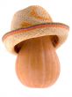 Pumpkin in the hat