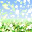 Springtime petals