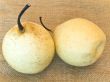 pears
