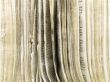 old open book pages