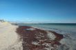 Deserted public beach after great storm