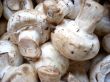 Mushrooms: agaric or field mushroom