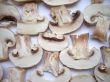 Mushrooms slices background