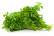 Dill. Green leaves.