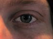 male`s eye