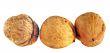 Walnuts in closeup