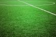 soccer or football theme