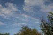 Signs of Summer